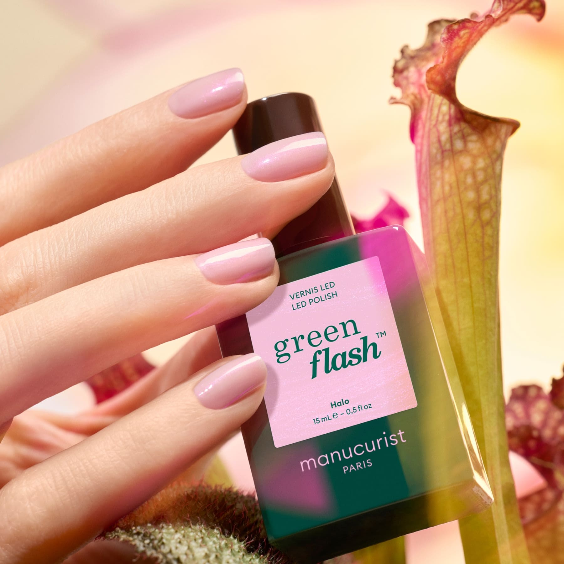 manicurist-green-flash-halo-vernis-semi-permanent-mauve image 5