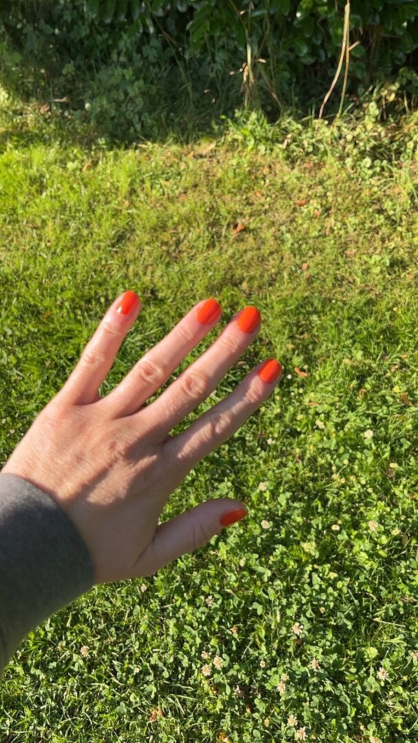 Couleur vive