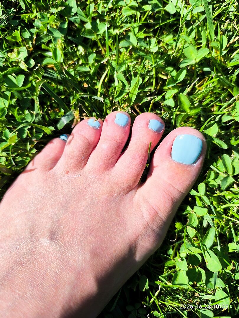Bon vernis