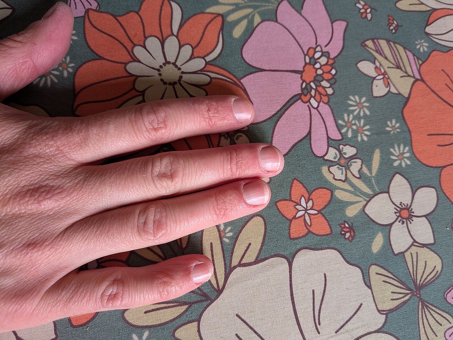 Brille sans vernis