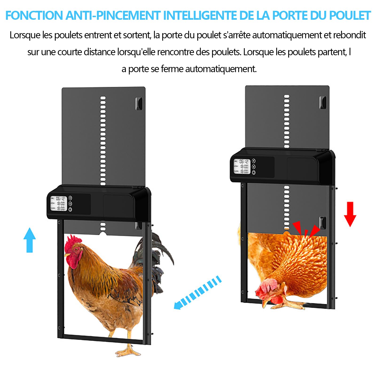 alovez-poulaillers-porte-automatique-noire-anti-pincement image 5