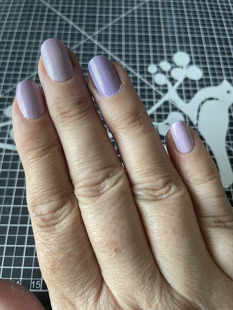 Vernis tient
