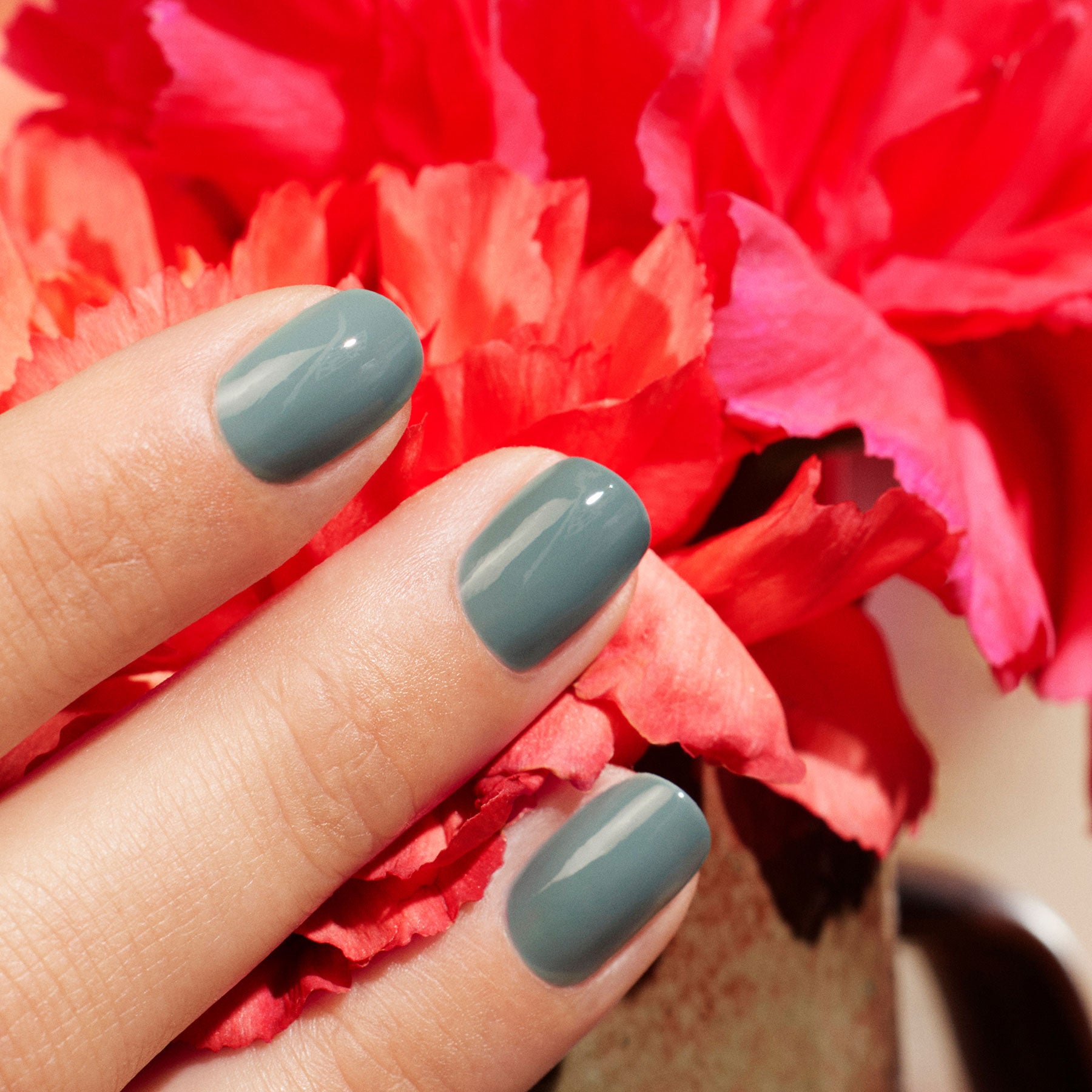 manicurist-green-vernis-ongles-sauge-gris-sauge-opaque image 3