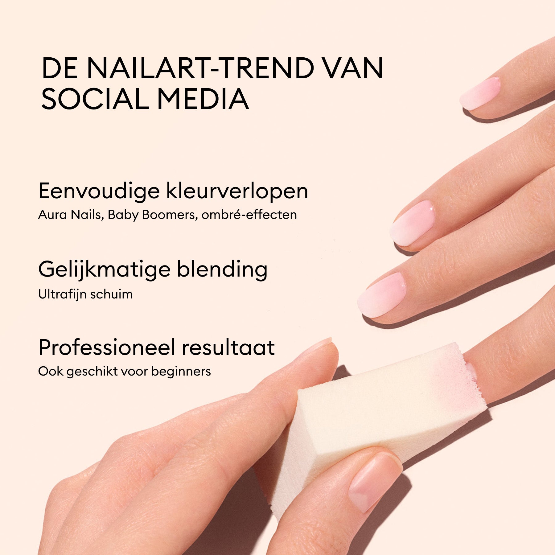 manicurist-accessoires-ponges-nail-art-x4-d-grad image 5