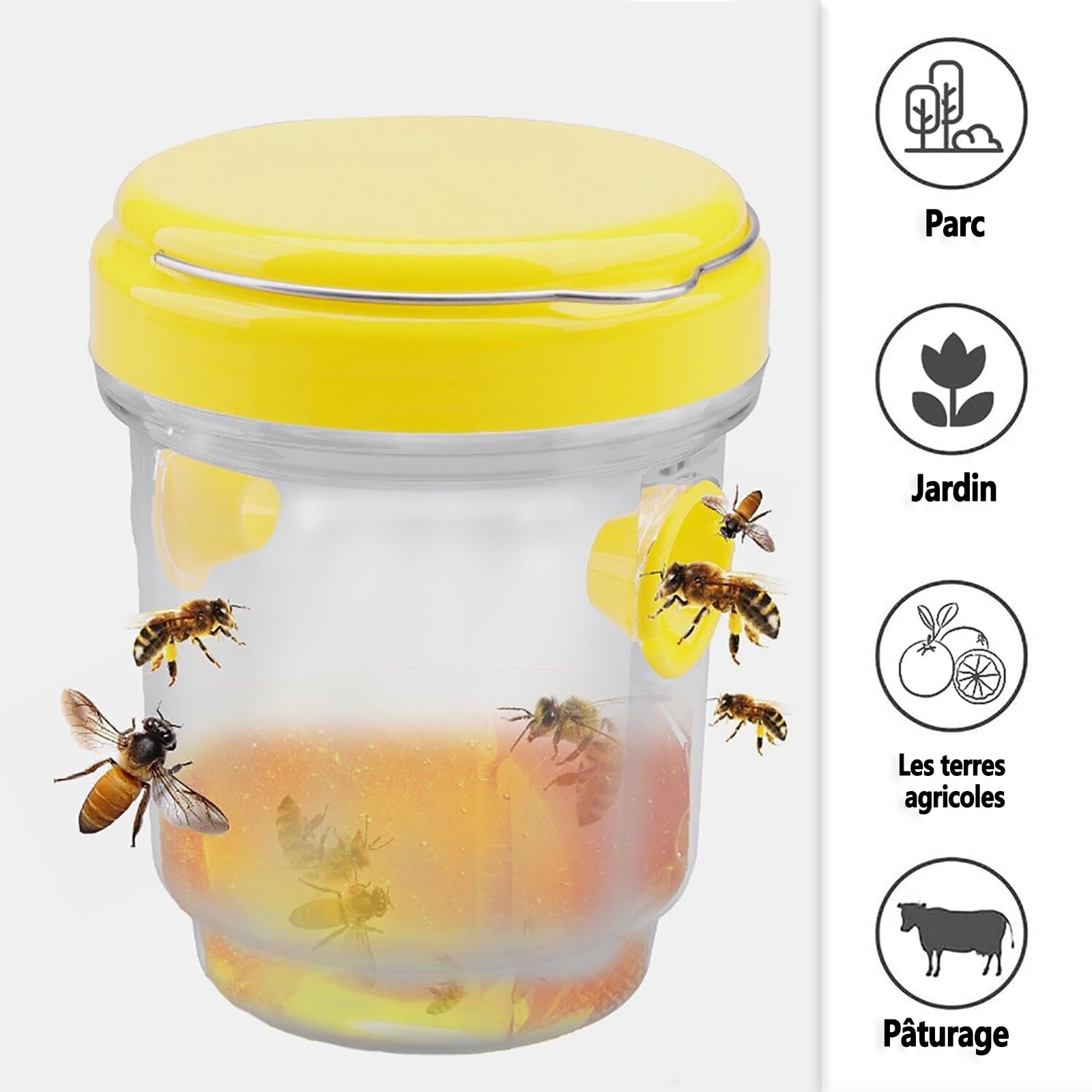 alovez-pi-ges-insectes-frelon-gu-pes-lot-2-ext-rieur image 3