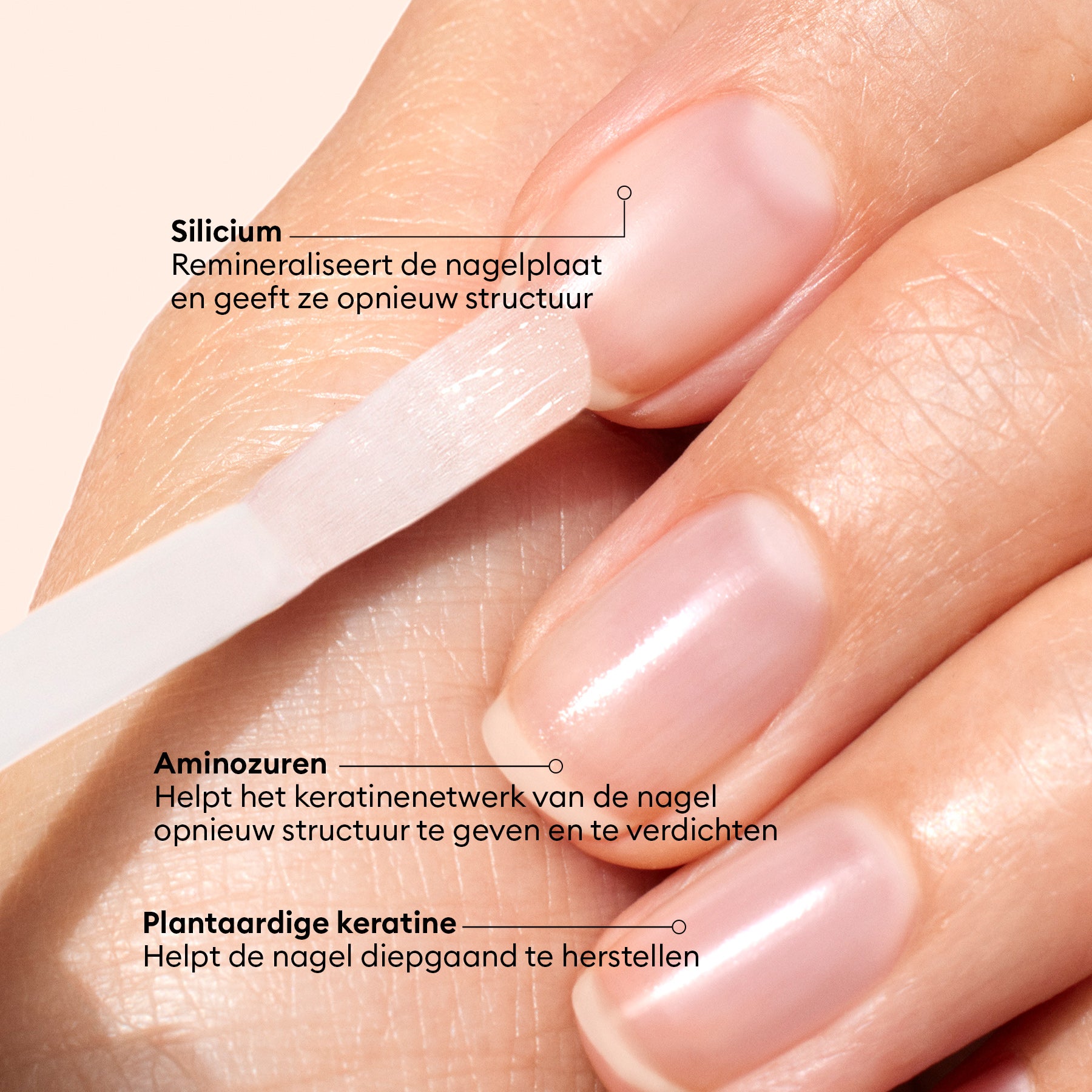 manicurist-soins-vernis-amer-anti-rongement-renfor-ant image 8