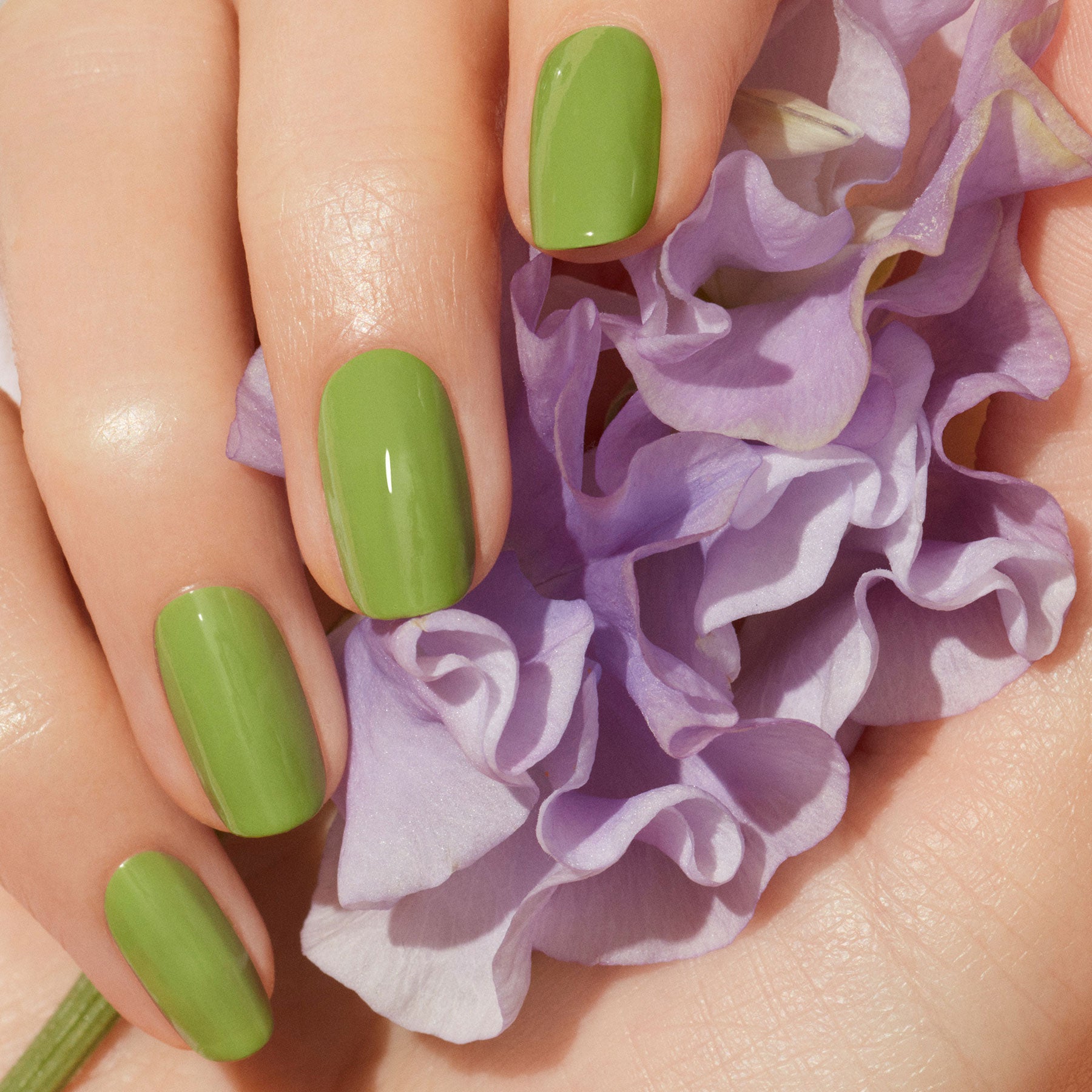 manicurist-green-petit-pois-vernis-vert-clair-opaque image 2