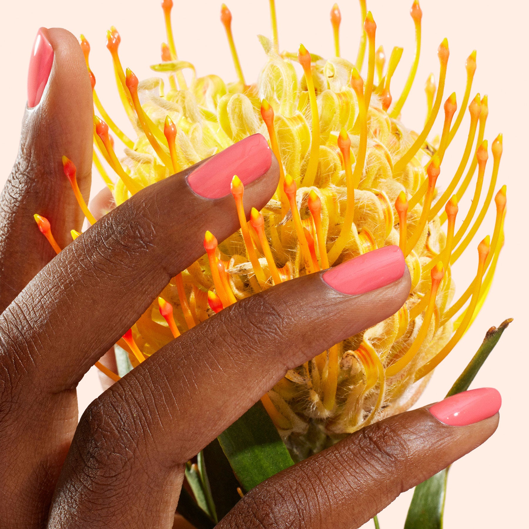manicurist-green-flash-capucine-vernis-semi-permanent-corail image 3