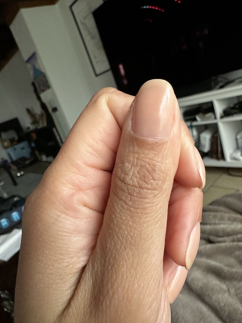 Bon rendu