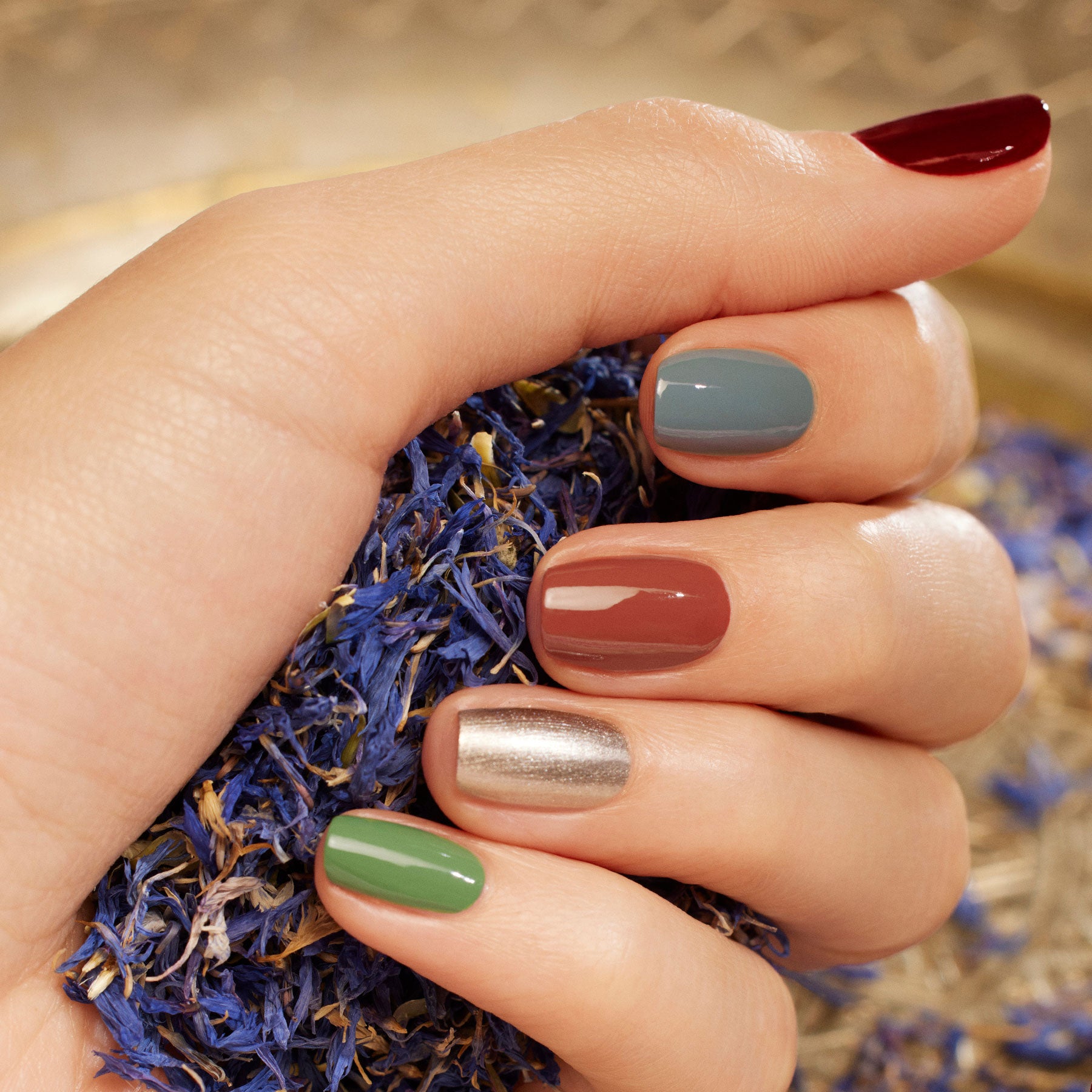 manicurist-nail-art-spice-lover-coffret-vernis-green-flash-5-teintes image 4