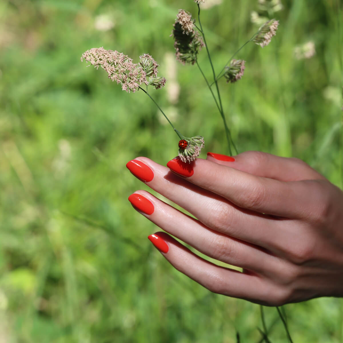 manicurist-green-vernis-ongles-red-coral-rouge-corail image 3